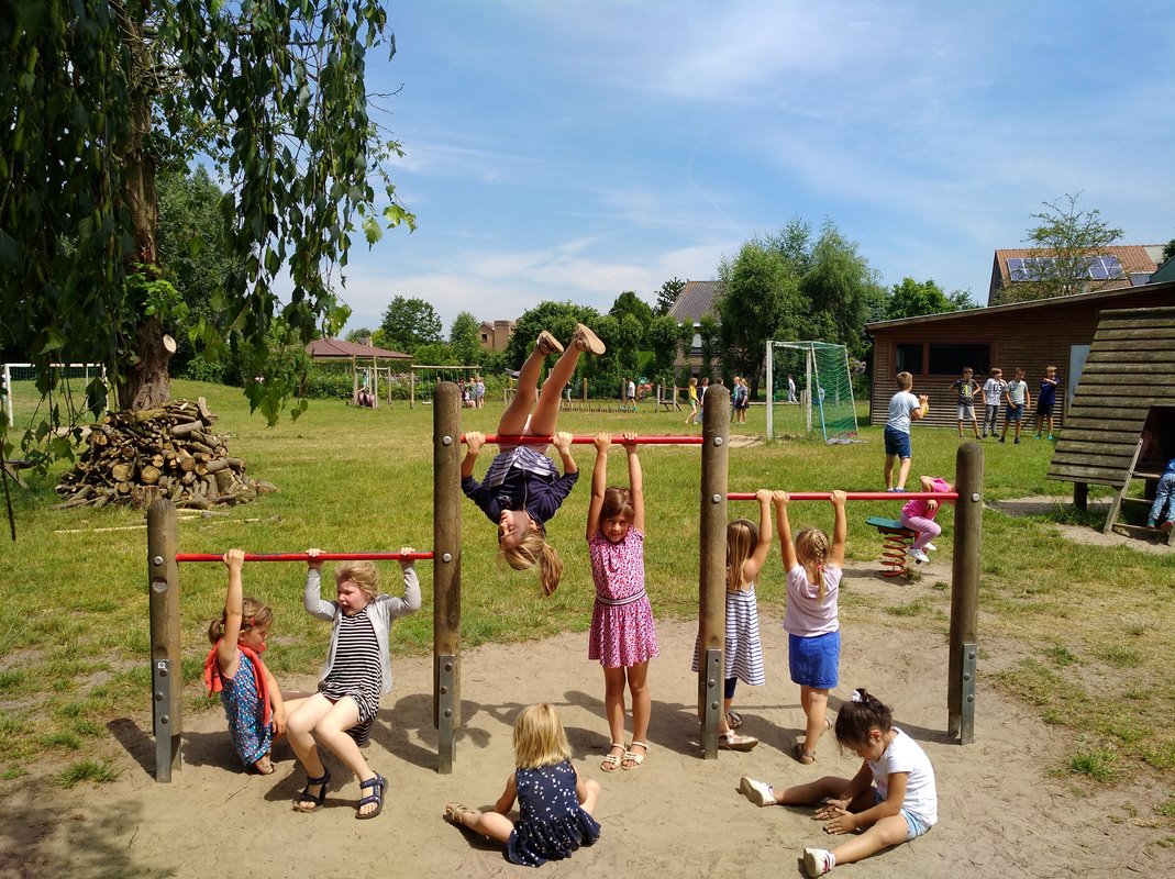 beschrijving